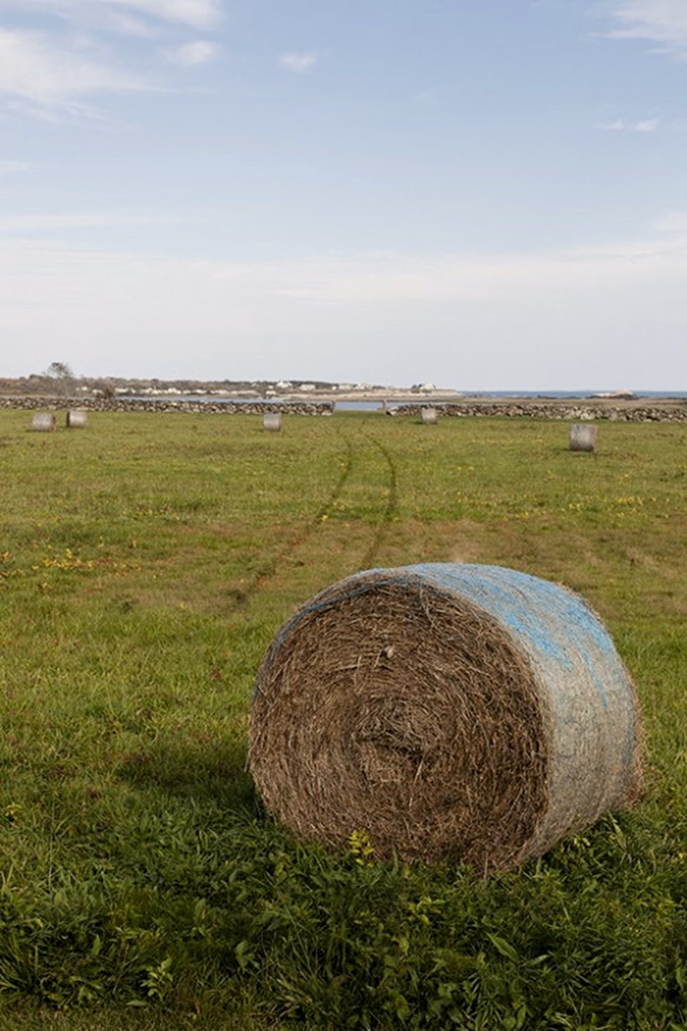 An open Rhode Island field